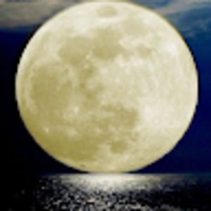 Meet your Posher, Iman